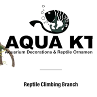 AQUA KT