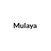 Enjoy 20% Off Mulaya Coupons \u0026 Promo Codes May, 2022